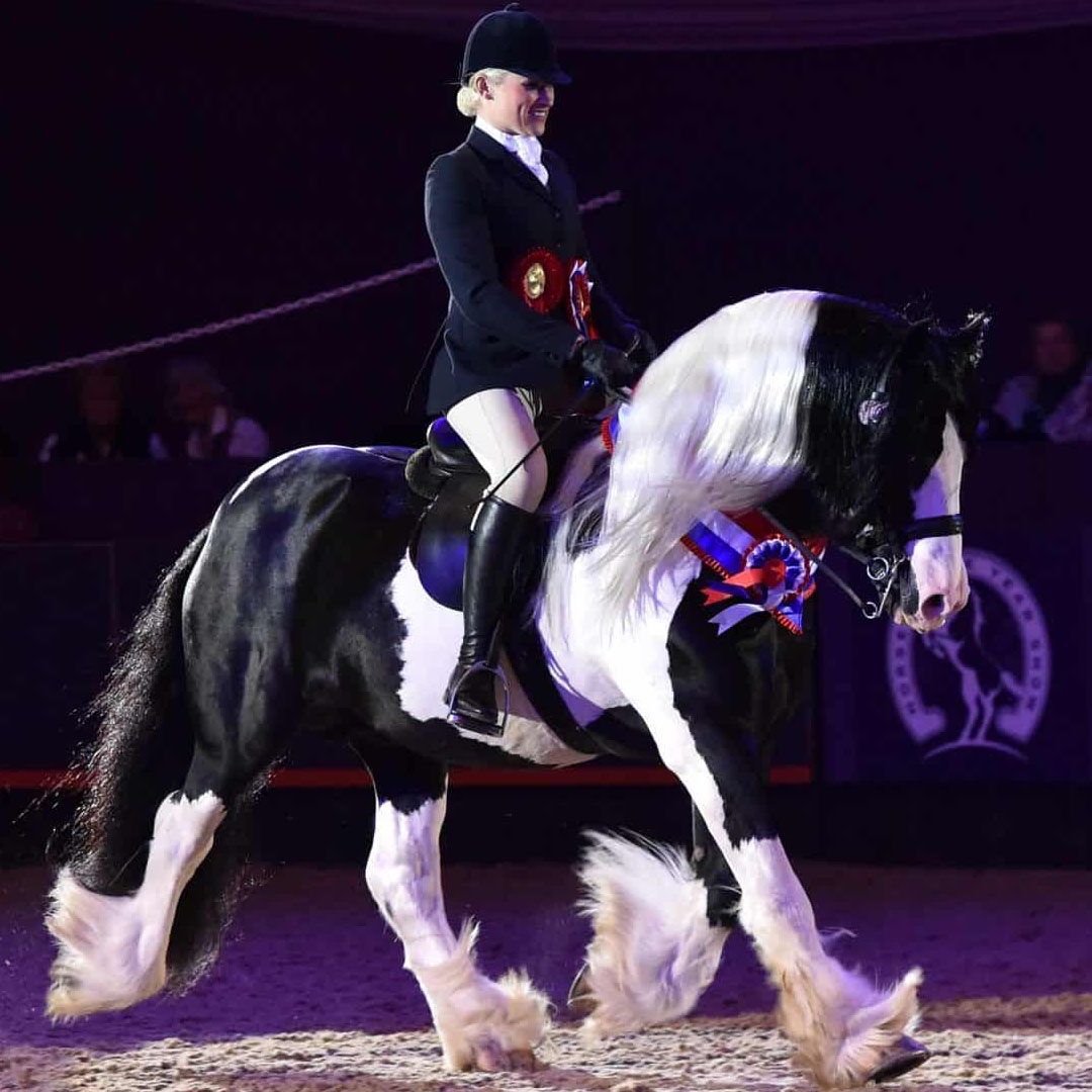 Del Boy V and Vikki Smith winning the Coloured Horse and Pony of the Year Championship